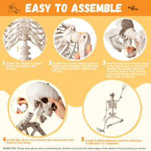 63" Halloween Skeleton Life Size Decor, 5.2FT Posable Skeletons with Glowing Eyes and Body - Image 4